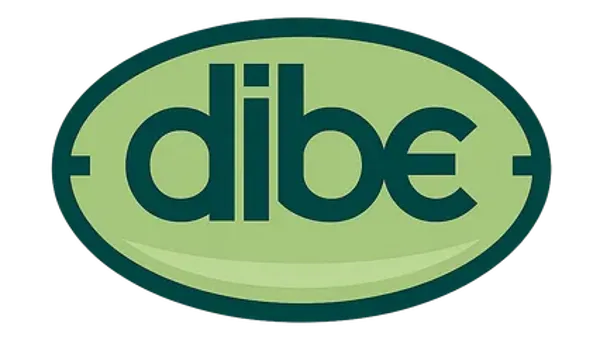 dibe.com.webp